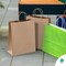 Brown Shopping Bags 5.25 x 3.75 x 8 Pack of 50 Brown Paper Bags with Handles Bulk 150 GSM Brown Gift Bags with Handles Bulk Brown Bags with Handles Bulk Brown Kraft Bags with Handles